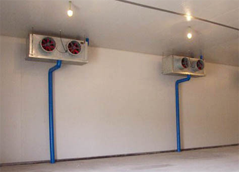 生鮮日皮网站在线观看建設價格 生鮮日皮网站在线观看建設價格