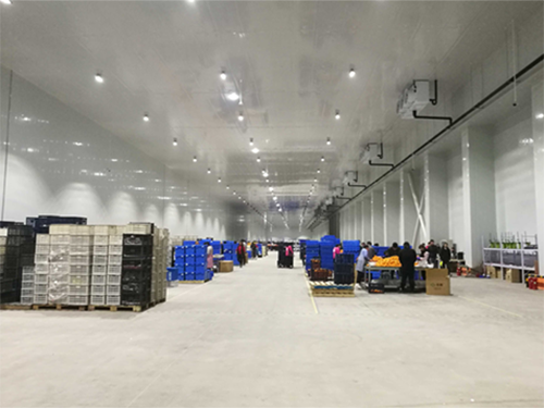 物流日皮网站在线观看設計規劃 物流日皮网站在线观看設計規劃