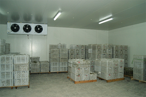 食品日皮网站在线观看造價費用