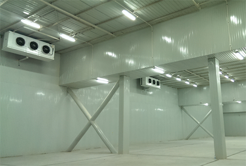 食品日皮网站在线观看建造價格