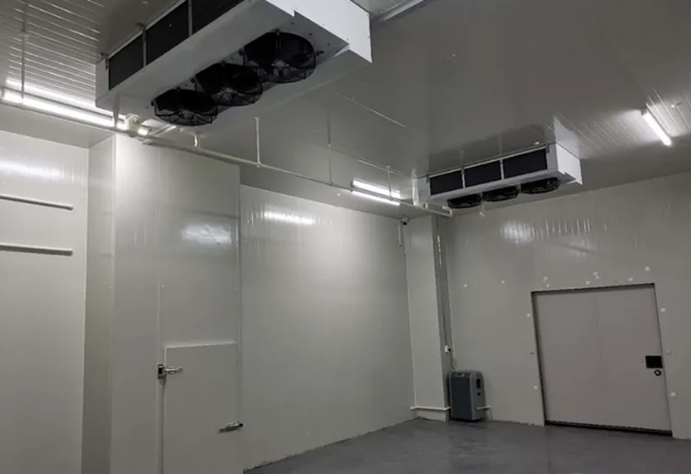 建造食品日皮网站在线观看