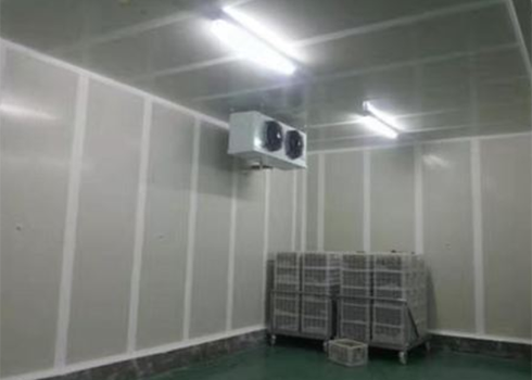 食品日皮网站在线观看建造安裝