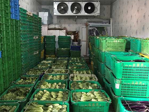 保鮮日皮网站在线观看建造廠家 保鮮日皮网站在线观看建造廠家