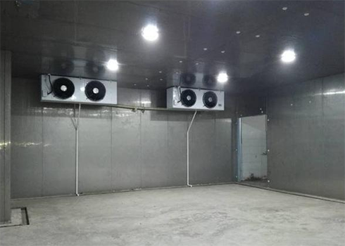 土豆保鮮日皮网站在线观看建造 土豆保鮮日皮网站在线观看建造