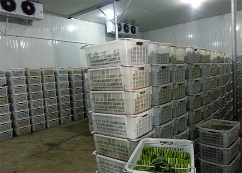 食品日皮网站在线观看建造價格 食品日皮网站在线观看建造價格