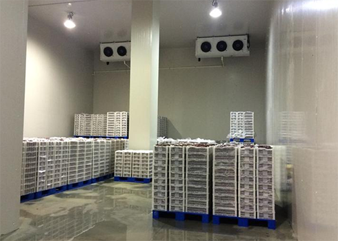 食品日皮网站在线观看造價