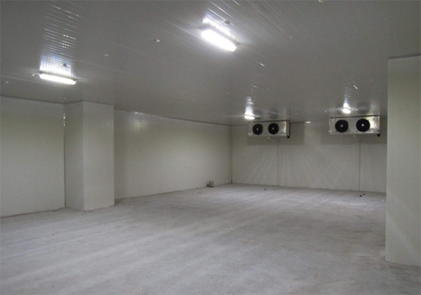 保鮮日皮网站在线观看安裝 保鮮日皮网站在线观看安裝