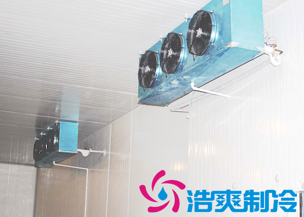 建造安裝5000㎡雞排低溫冷藏庫造價費用是多少？