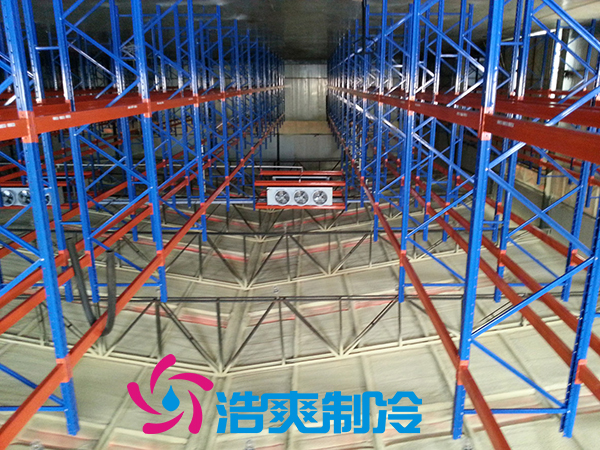 建造安裝5000㎡雞排低溫冷藏庫造價費用是多少？
