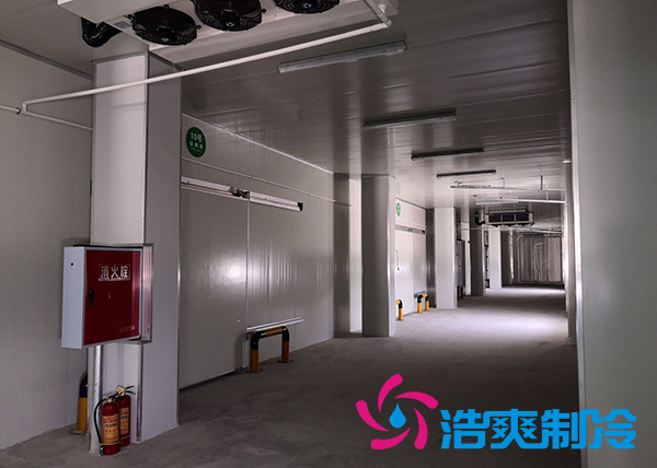 建造一個港口冷鏈日皮网站在线观看價格是多少錢？