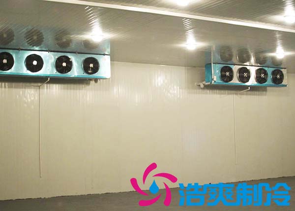 建造一間海參低溫冷凍庫大約需要多少費用？