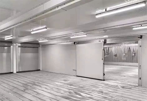 上海建造23000m³食品飲料冷凍庫造價需要投資多少費用？_日皮APP免费下载製冷