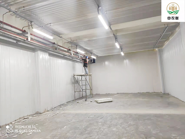 江蘇農產品物流港22600m³日皮网站在线观看建造