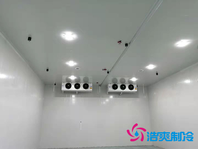 超低溫凍庫建設價格與哪些因素有關？_日皮APP免费下载製冷