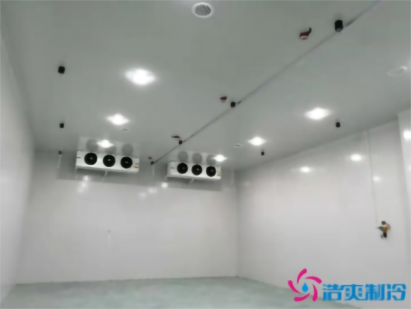 食品冷凍庫建造需要多少成本？_日皮APP免费下载製冷