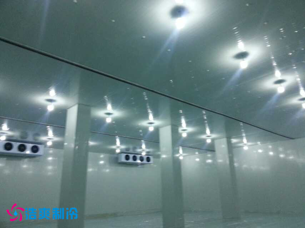 幹果保鮮日皮网站在线观看安裝