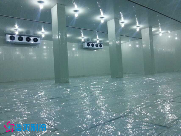 幹果保鮮日皮网站在线观看安裝