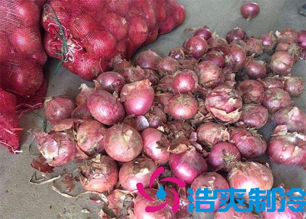 建一個洋蔥保鮮庫要多少錢呢?_日皮APP免费下载製冷 建一個洋蔥保鮮庫要多少錢呢?_日皮APP免费下载製冷