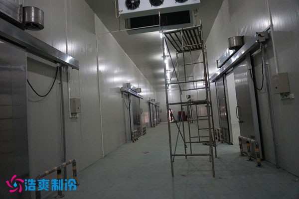 湖北冷源冷鏈高低溫日皮网站在线观看建造安裝