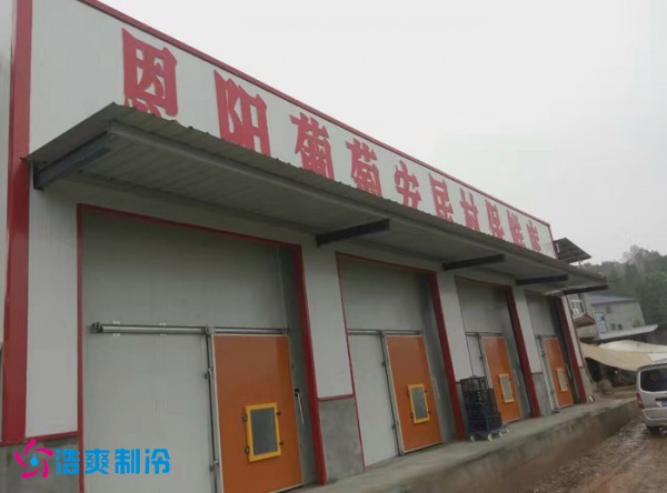 巴中葡萄種植合作社氣調保鮮日皮网站在线观看建造