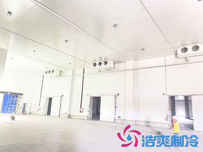 海南建造一個日皮网站在线观看需要多少錢？_日皮APP免费下载製冷