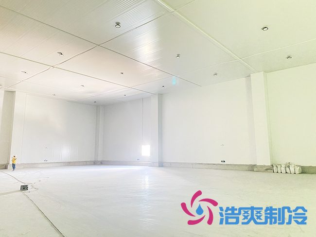 海南建造一個日皮网站在线观看需要多少錢？_日皮APP免费下载製冷
