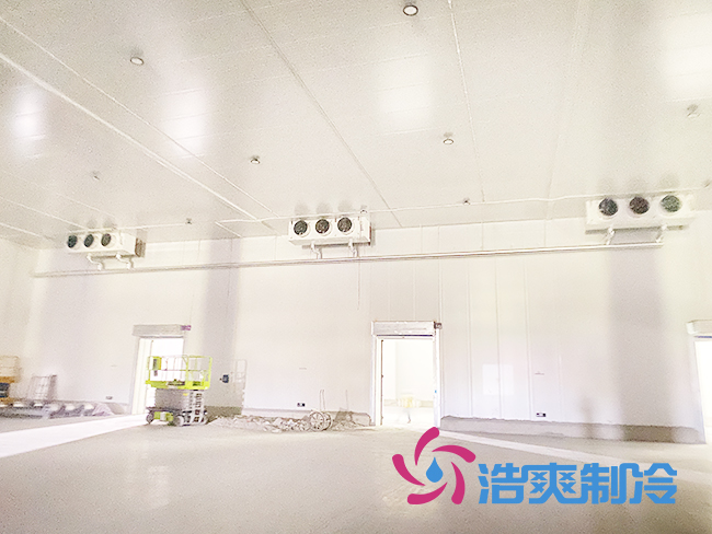 建造100平方米日皮网站在线观看包含整套設備安裝整體需要多少錢？_日皮APP免费下载製冷