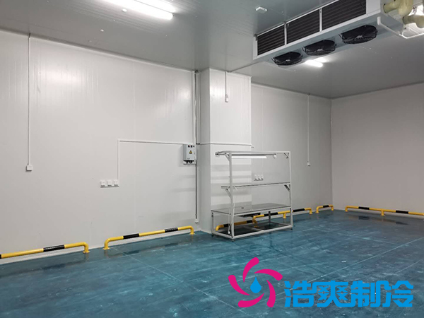 上海諾心實業38000m³食品原料日皮网站在线观看建造