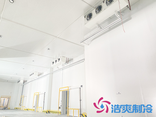 建造一間氣調保鮮日皮网站在线观看大概需要投資多少錢？_日皮APP免费下载製冷