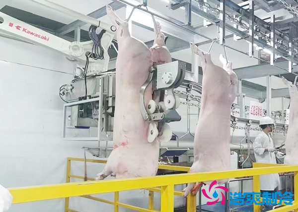 屠宰場建造200噸豬肉排酸日皮网站在线观看安裝造價多少錢？-日皮APP免费下载製冷