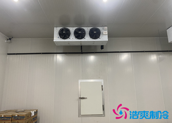 建一個500噸的大蒜日皮网站在线观看每平方米要花多少錢?-日皮APP免费下载製冷