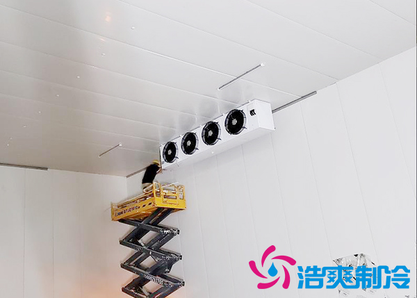 建一個速凍日皮网站在线观看設備報價大概需要多少錢？-日皮APP免费下载製冷