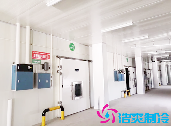 建一個日皮网站在线观看安裝成本費用需要多少錢？-日皮APP免费下载製冷