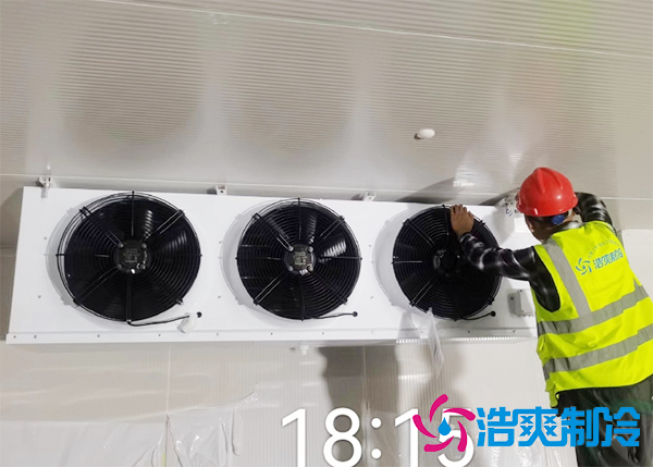 日皮网站在线观看設備安裝一套多少錢？大型日皮网站在线观看建造價格怎麽計算-日皮APP免费下载製冷