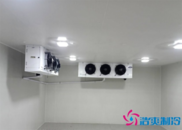 蔬菜種植基地建造600立方米保鮮日皮网站在线观看大概需要多少錢？-日皮APP免费下载製冷