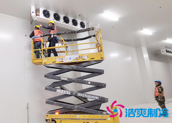 蔬菜種植基地建造600立方米保鮮日皮网站在线观看大概需要多少錢？-日皮APP免费下载製冷