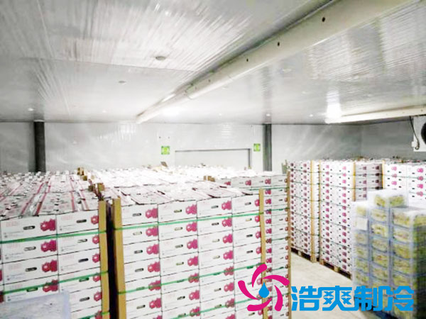 建一個5—10平方的小型日皮网站在线观看的價錢是多少？-日皮APP免费下载製冷