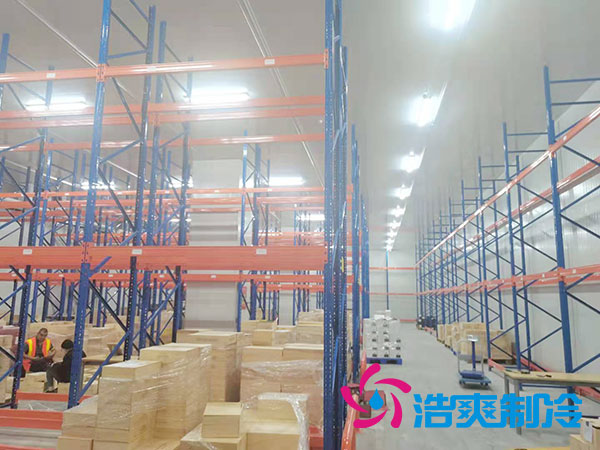 如何選擇專業的生鮮冷凍物流日皮网站在线观看公司？-日皮APP免费下载製冷