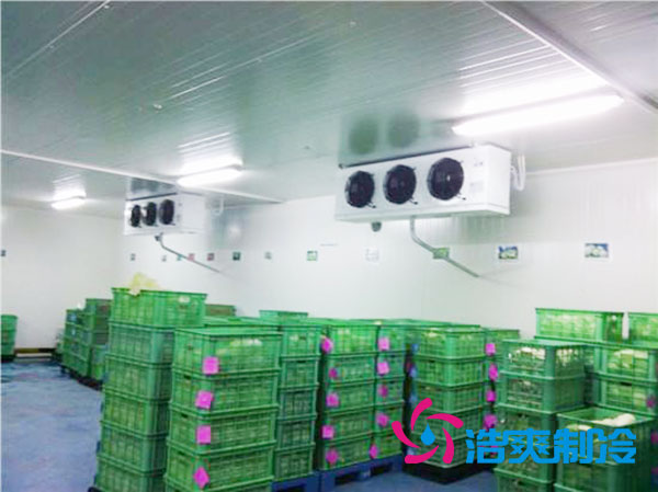 茶葉日皮网站在线观看設置多少溫度合適？-日皮APP免费下载製冷