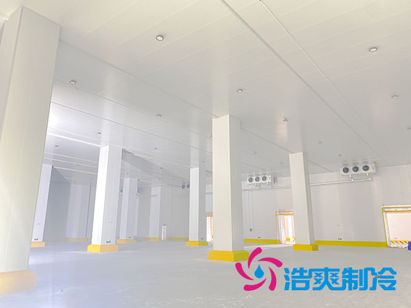 浙江肉類速凍庫建造大概多少錢？-日皮APP免费下载製冷