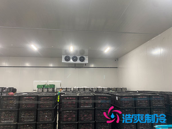 嘉定雞蛋日皮网站在线观看安裝建造多少錢?-日皮APP免费下载製冷 嘉定雞蛋日皮网站在线观看安裝建造多少錢?-日皮APP免费下载製冷