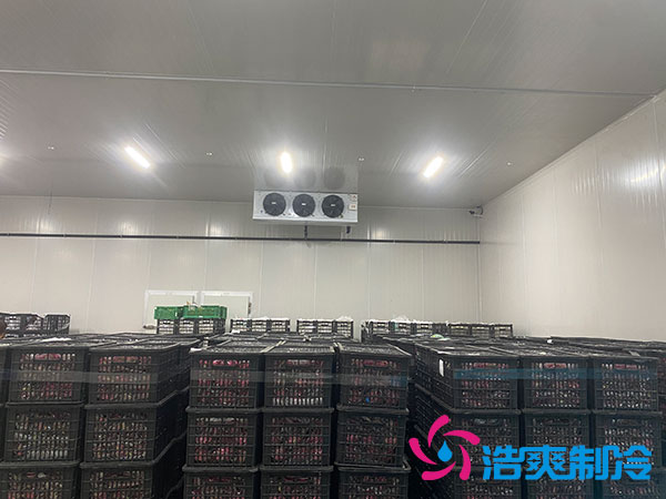 中型日皮网站在线观看安裝造價多少錢？中型日皮网站在线观看造價表-日皮APP免费下载製冷