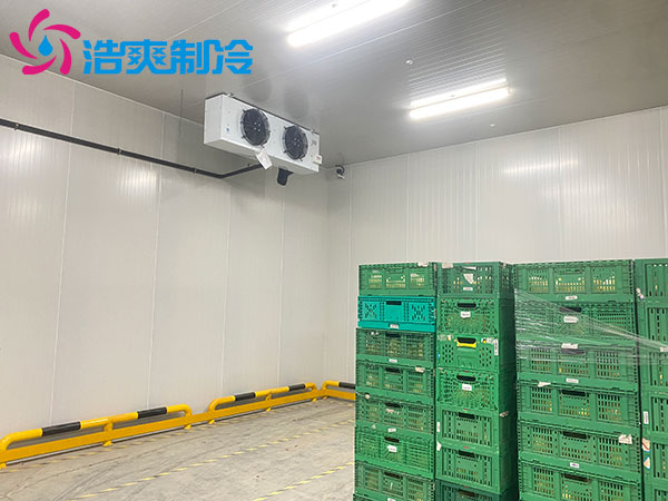 寧波1000平米冷藏庫建造大概多少錢？-日皮APP免费下载製冷