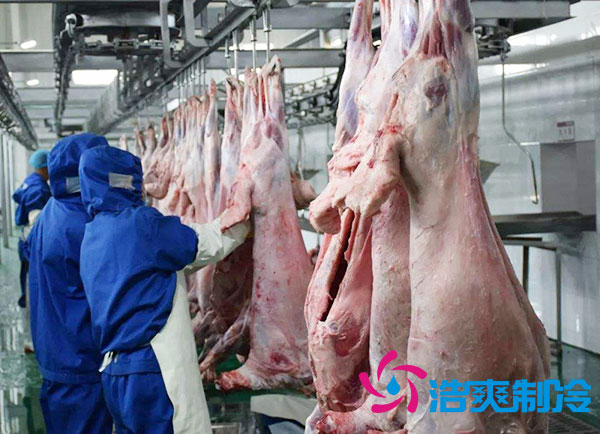 排酸日皮网站在线观看安裝價錢多少錢？-日皮APP免费下载製冷