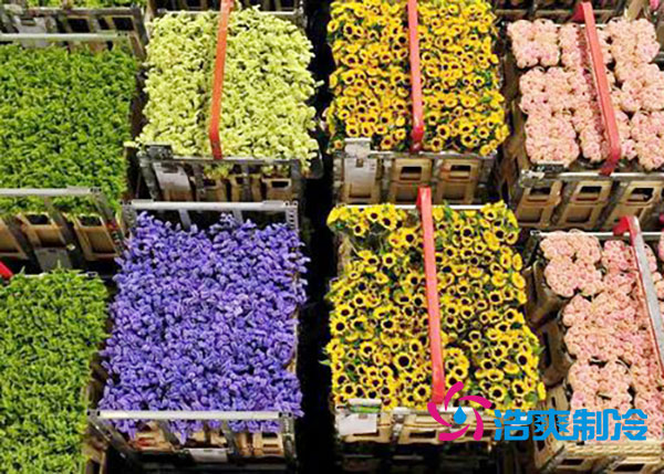 花卉日皮网站在线观看安裝預算造價多少錢？-日皮APP免费下载製冷