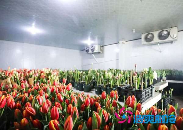 花卉日皮网站在线观看安裝預算造價多少錢？-日皮APP免费下载製冷