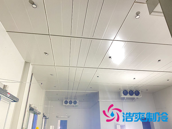 太倉日皮网站在线观看價格多少錢一平方？-日皮APP免费下载製冷