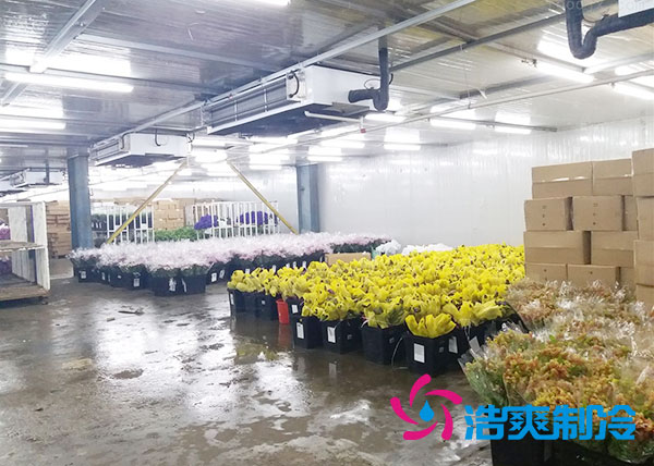 做個鮮花日皮网站在线观看要多少錢？-日皮APP免费下载製冷