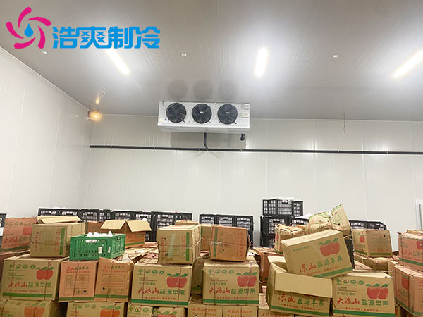 水果日皮网站在线观看造價多少錢