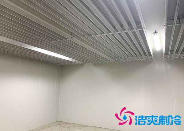 冰淇淋日皮网站在线观看建造